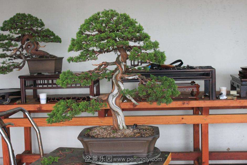 Ƭ 002.jpg