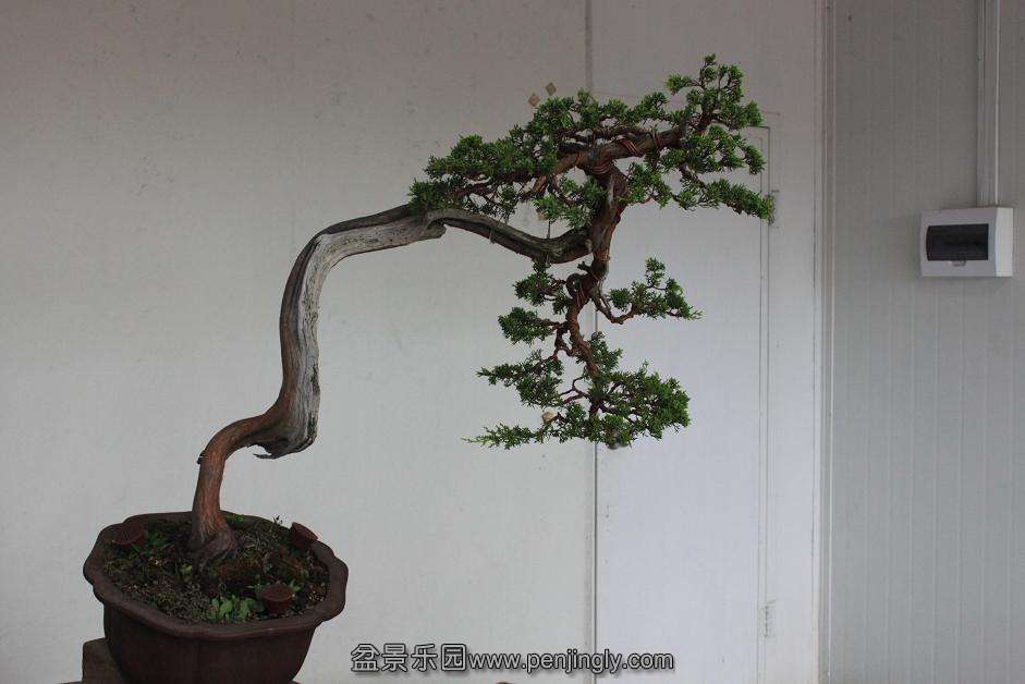 Ƭ 003.jpg