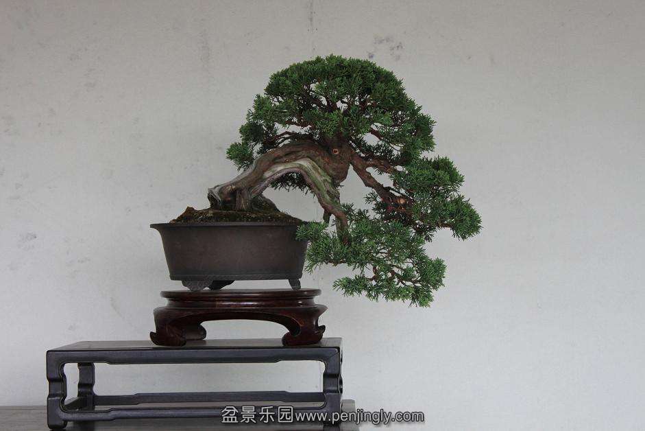 Ƭ 004.jpg