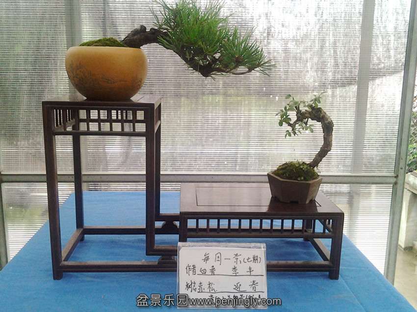 2013-08-04 08.48.24_.jpg