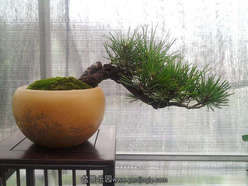 2013-08-04 08.44.03_.jpg