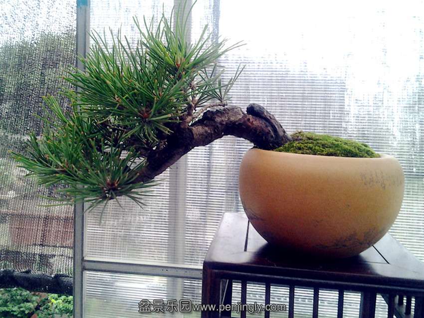 2013-08-04 08.44.36_.jpg