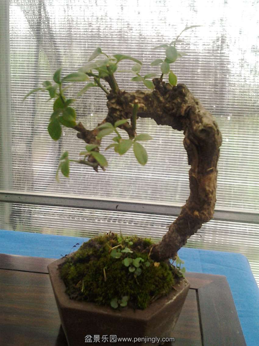 2013-08-04 08.45.29_.jpg