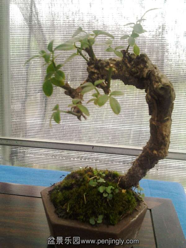 2013-08-04 08.45.35_.jpg