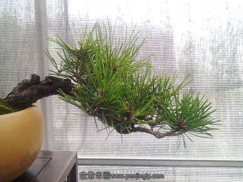 2013-08-04 08.46.56_.jpg