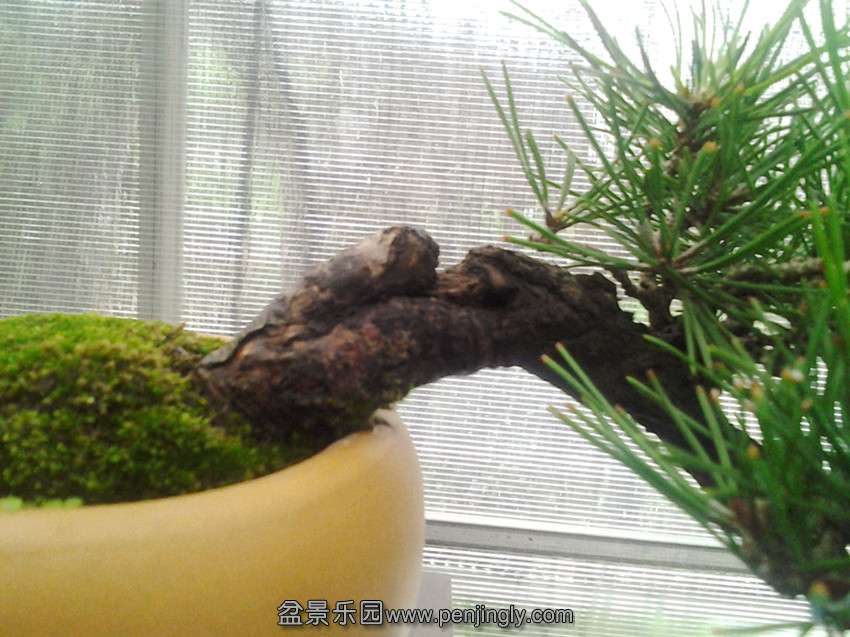 2013-08-04 08.47.16_.jpg