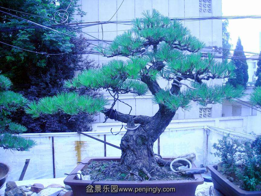 DSCN3048.JPG
