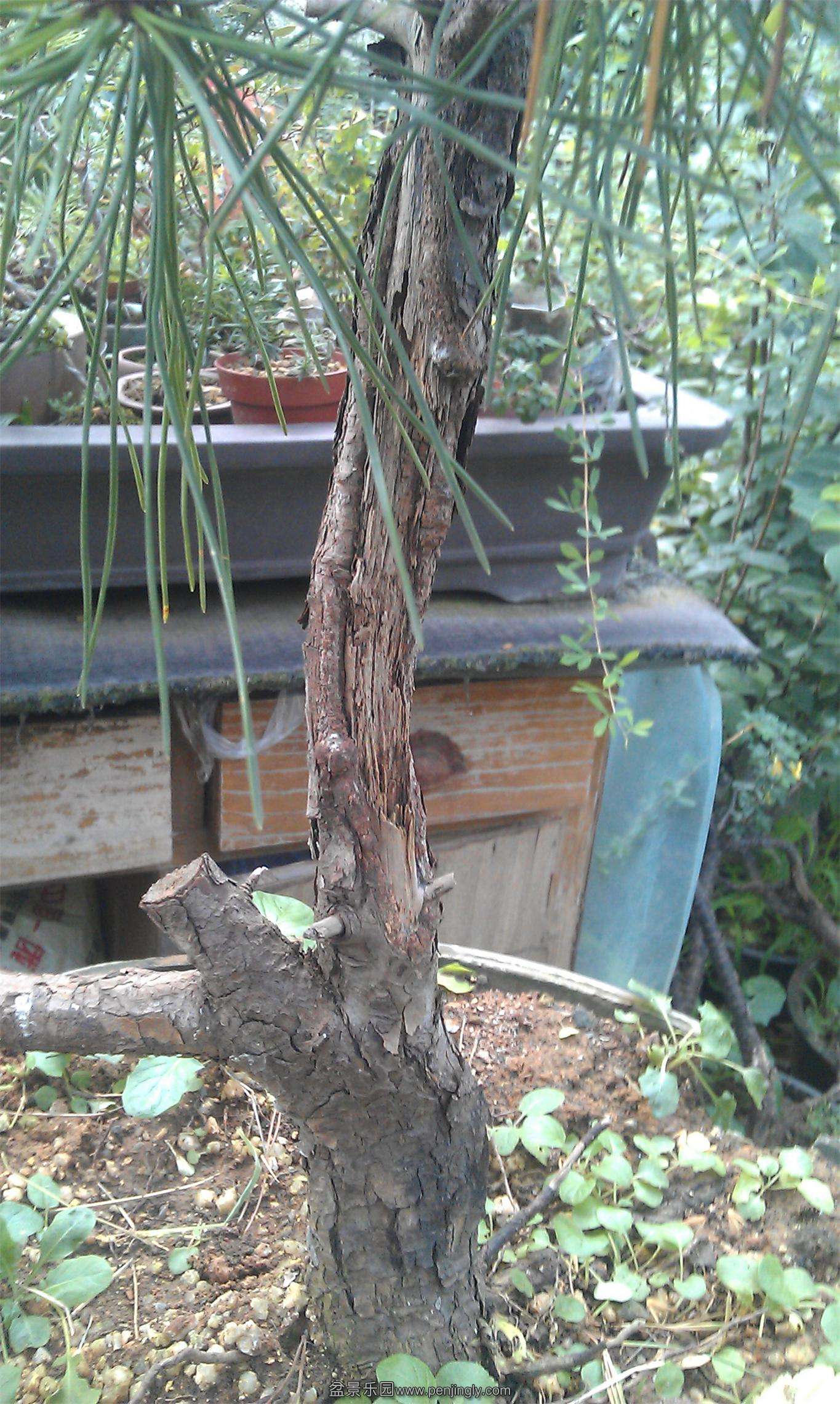 IMAG0120.jpg