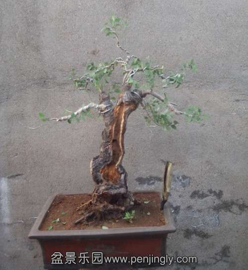 QQͼƬ20130806100656.jpg