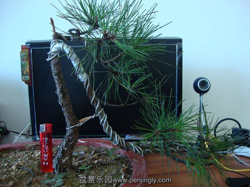 DSC01360_.jpg