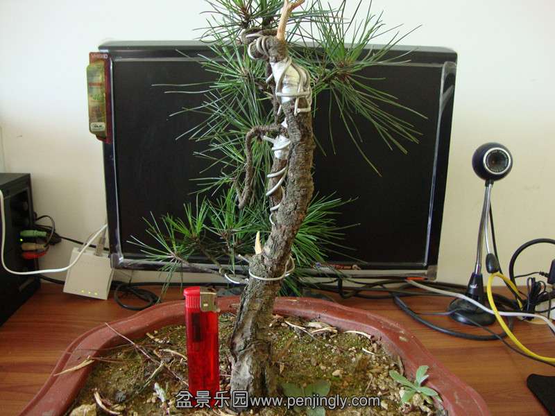 DSC01362_.jpg
