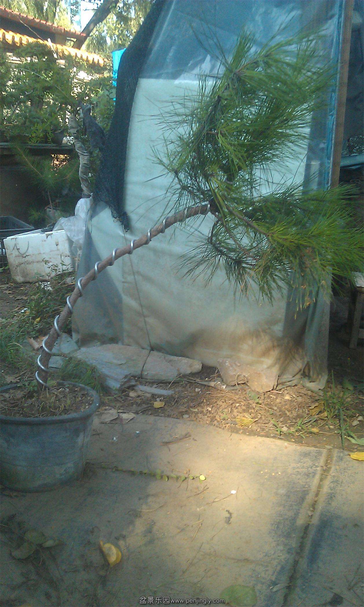 IMAG0134.jpg