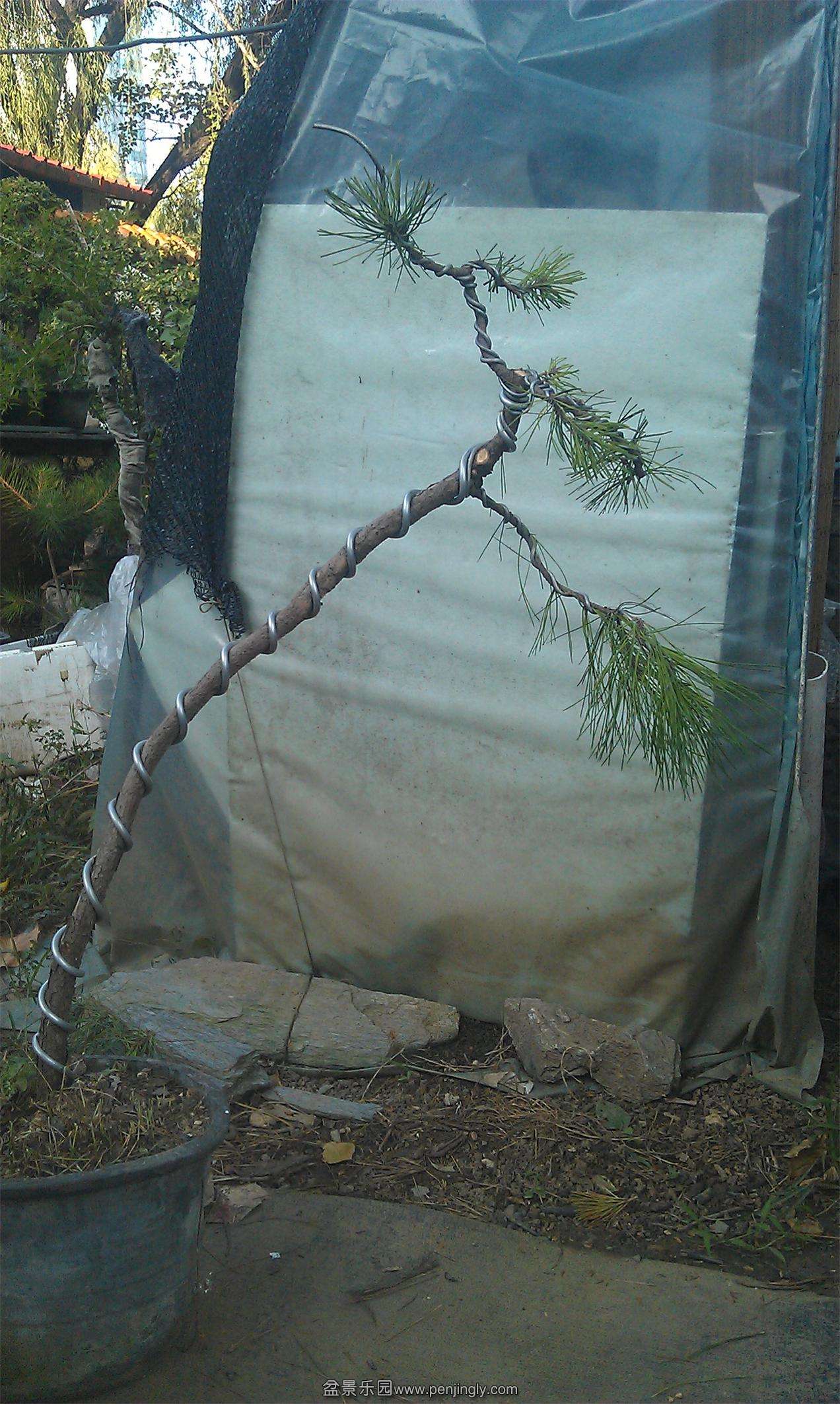 IMAG0138.jpg