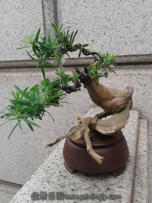 2013-08-04 15.23.59.jpg