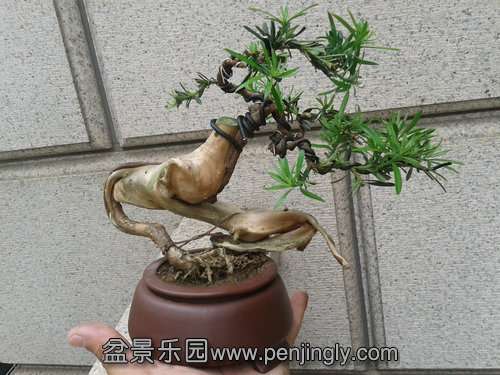 2013-08-04 15.25.33.jpg