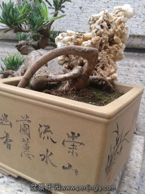 2013-08-04 15.39.35.jpg