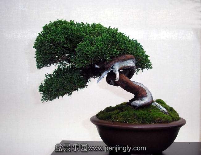 BCD Ratingen 01-10-2011 104.jpg