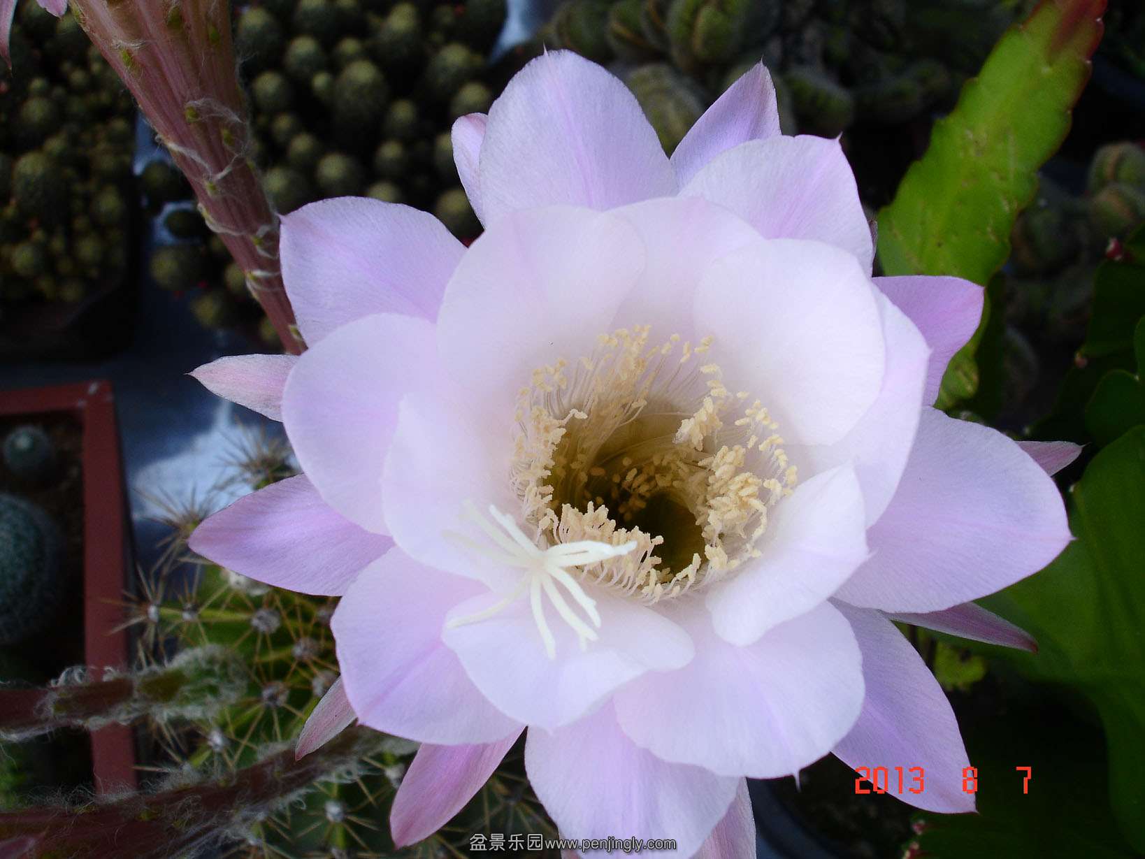 DSC02019.JPG