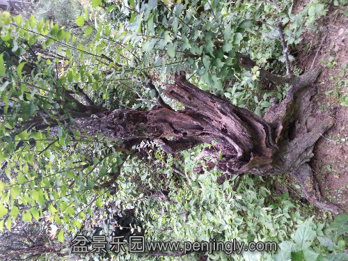 20130802_184527.jpg