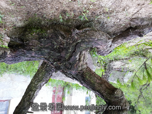 20130729_165639.jpg