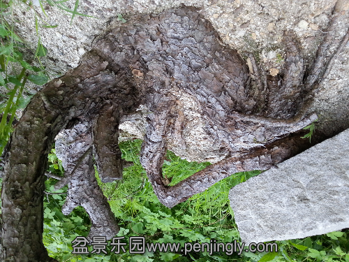 20130729_165545.jpg