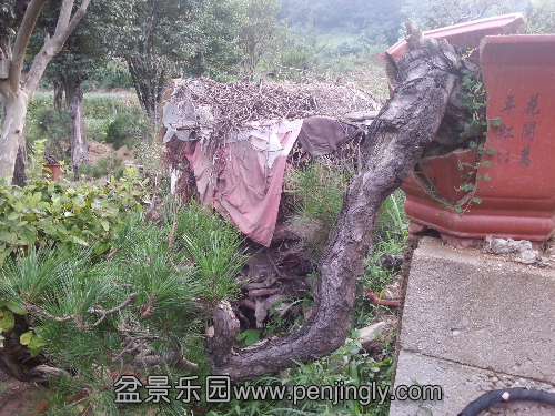 20130727_182703.jpg