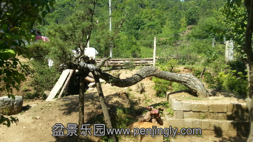 20130511_143314.jpg