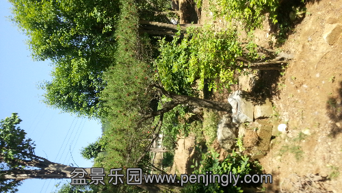 20130511_143344.jpg