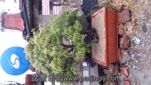 20130422_172548.jpg