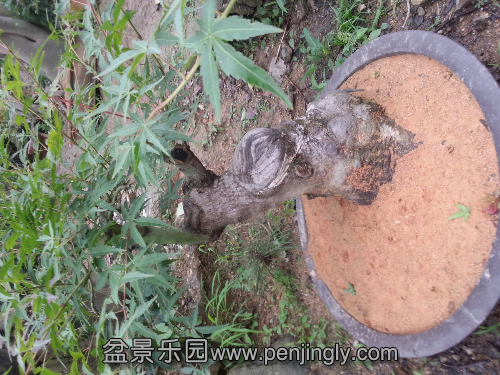 20130607_144347.jpg