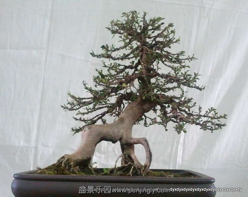 2011-08-17 09.53.33.jpg