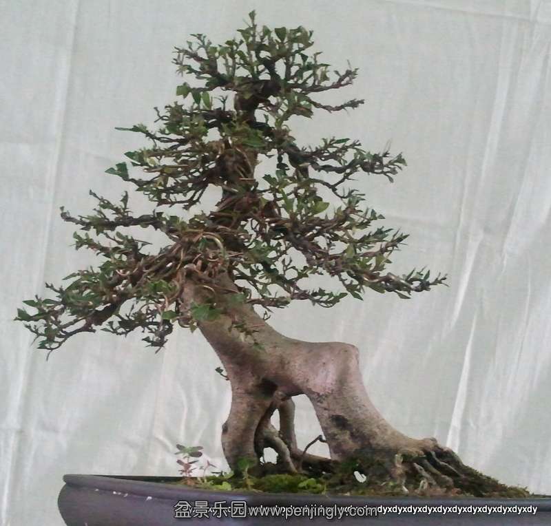 2011-08-17 09.54.56.jpg