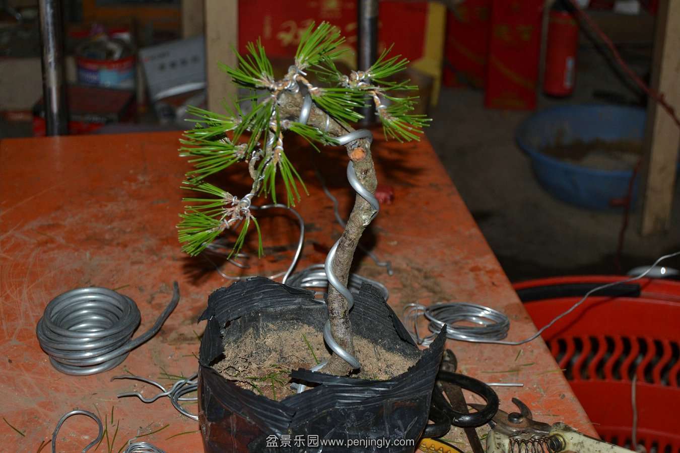 2013-08-10С 009.jpg