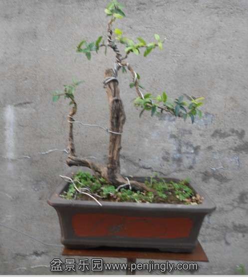 QQͼƬ20130811195122.jpg