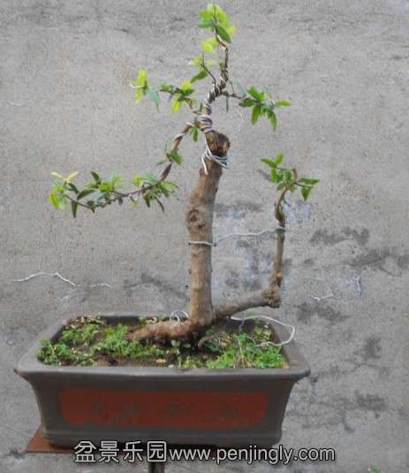 QQͼƬ20130811195138.jpg