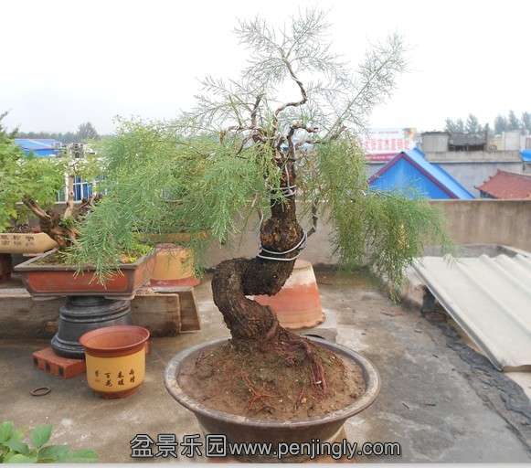 QQͼƬ20130811195025.jpg