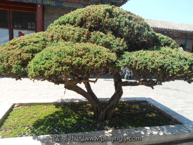 DSCN0549.JPG
