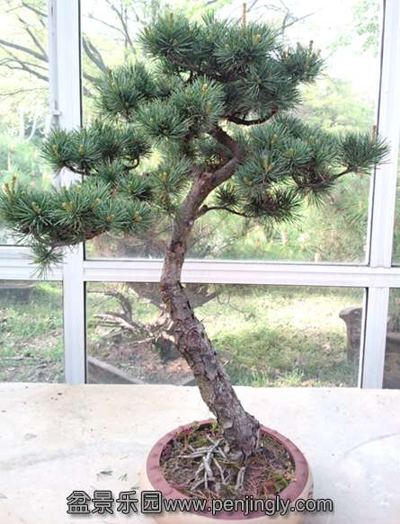 P30409-081046__.jpg