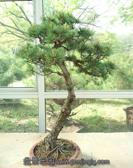 P30409-085732__.jpg