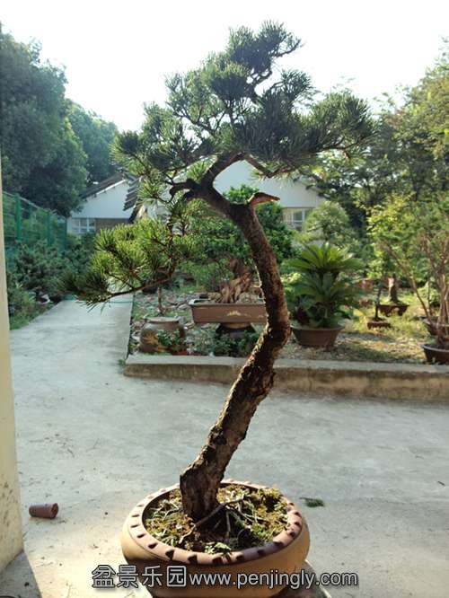 P30808-075137_.jpg