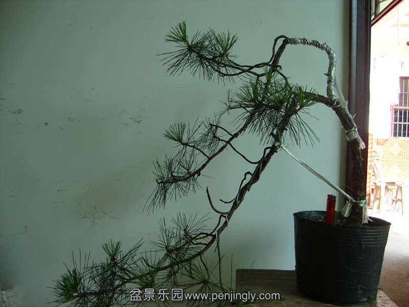 DSC01369_.jpg
