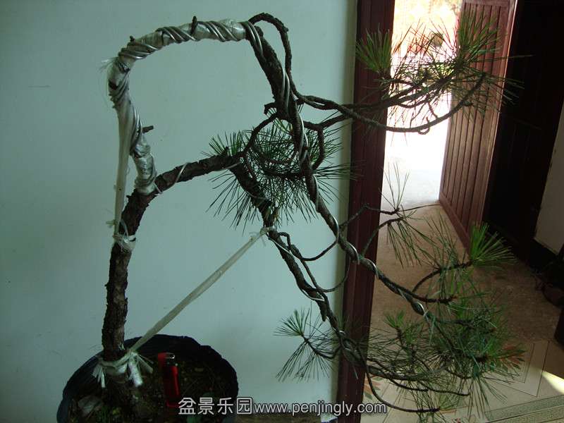 DSC01370_.jpg