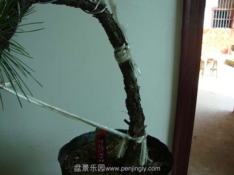 DSC01371_.jpg