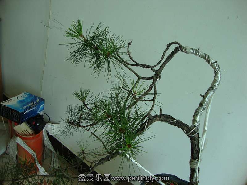 DSC01372_.jpg