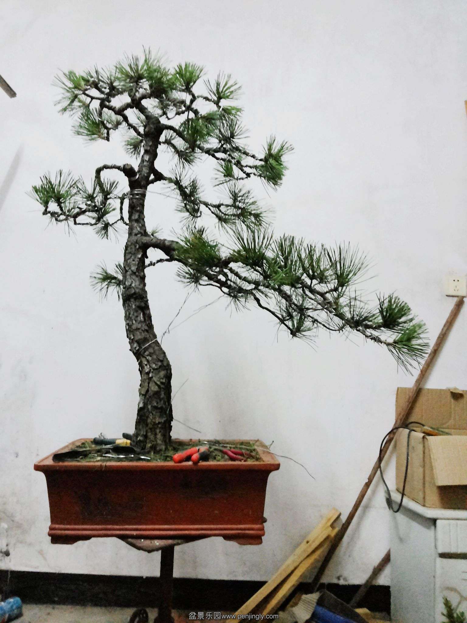 20130805_215453.jpg