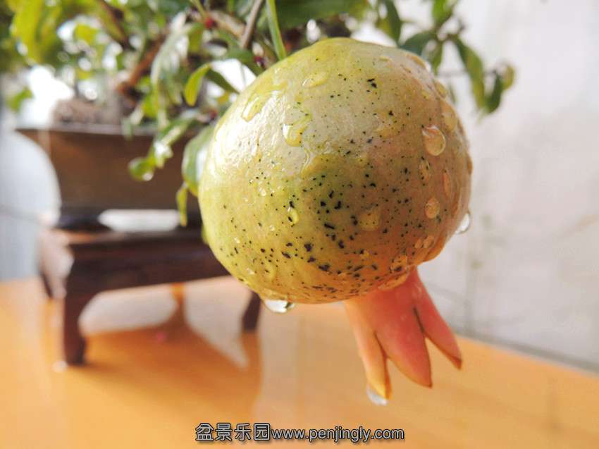 DSCN1323_.jpg
