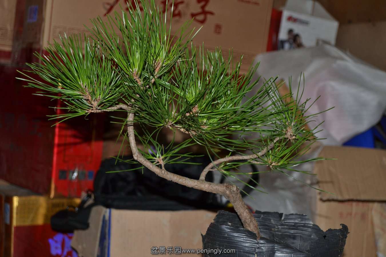 2013-08-14С 002.jpg
