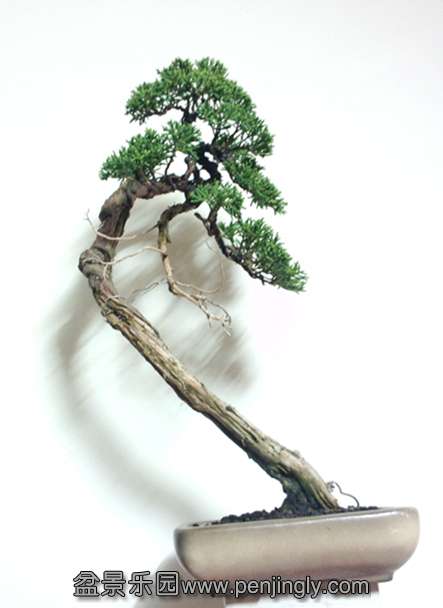 P30813-214515_.jpg