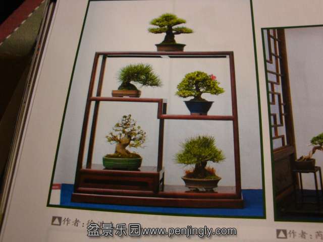 DSC04737.JPG