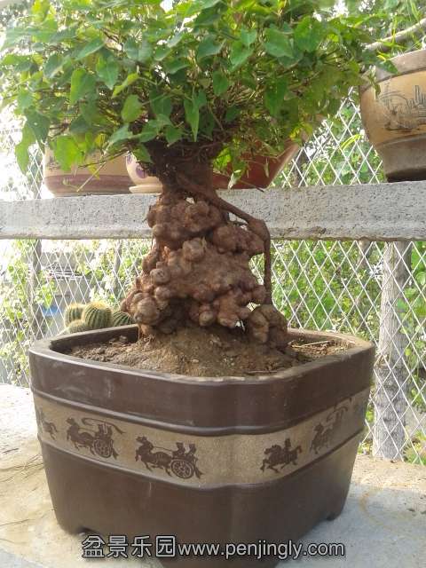 20130812_163532.jpg